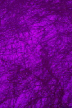 GRAPHIC DESİGN MAUVE BÖLGESİ