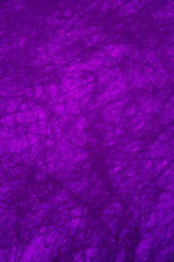 GRAPHIC DESİGN MAUVE BÖLGESİ