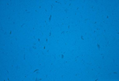 GRAPHIC DESİGN 'İN Mavili TEXTure BAKANLIĞI