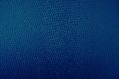 GRAPHIC DESİGN 'İN Mavili TEXTure BAKANLIĞI