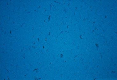 GRAPHIC DESİGN 'İN Mavili TEXTure BAKANLIĞI