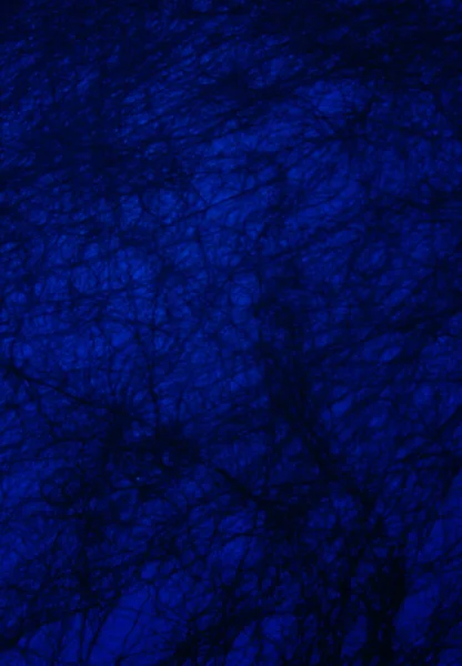 Dark Blue Texture Antecedentes Para Diseño Gráfico Foto Alta Calidad — Foto de Stock