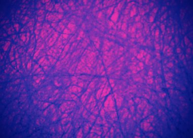 GRAPHIC DESİGN MAUVE BÖLGESİ