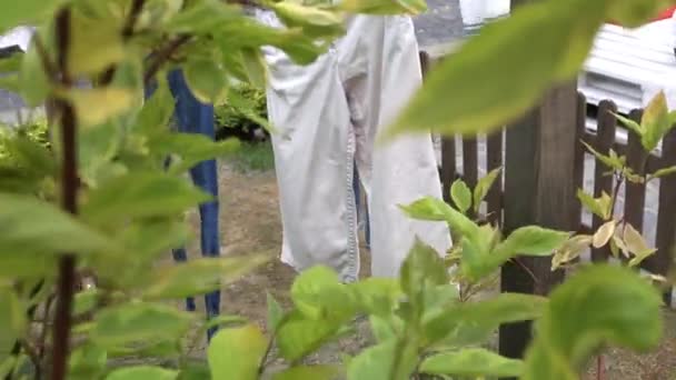 Pantalones, toallas, ropa de cama después del lavado cuelgan de una cuerda entre los árboles, se secan en el jardín . — Vídeo de stock