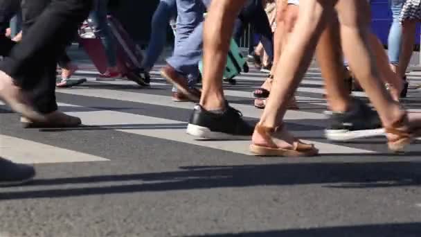 Veel mensen steken de straat over op een kruispunt. voeten close-up — Stockvideo