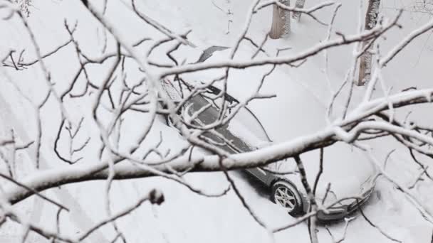 Coche cubierto de nieve está estacionado en el parque de la ciudad en un día de nieve de invierno, visto desde arriba a través de ramas de árboles . — Vídeo de stock