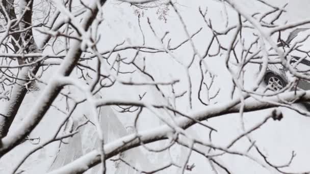 O carro coberto de neve está estacionado no parque da cidade em um dia de neve de inverno, visto de cima através de galhos de árvores . — Vídeo de Stock