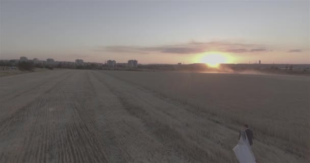 Casal Amoroso Noiva Noivo Caminham Campo Trigo Cortado Pôr Sol — Vídeo de Stock