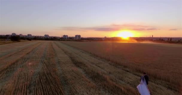 Milující Pár Ženicha Chodit Pokosené Žitné Pole Při Západu Slunce — Stock video