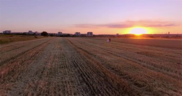 Liebespaar Braut Und Bräutigam Spazieren Bei Sonnenuntergang Über Ein Gemähtes — Stockvideo