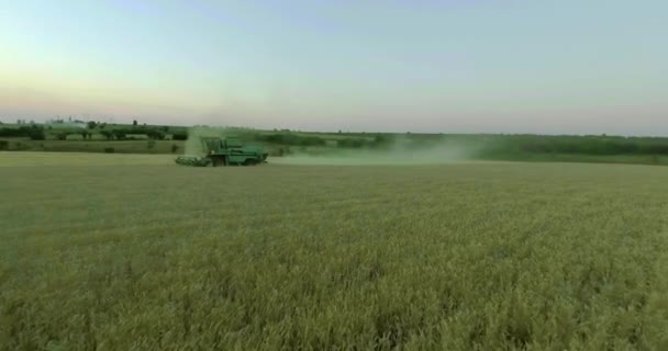 Scrivi Polonia Settembre 2018 Agricoltura Combinare Raccolta Campo Grano Tramonto — Video Stock