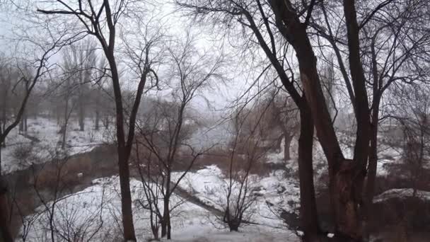 現在の川公園 雪解け 春の霧します — ストック動画