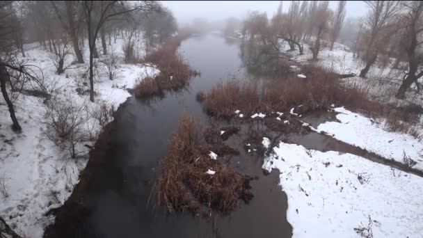 Mgła Nad Rzeką Bieżącego Parku Śnieg Rozmrażania Wiosenny Widok Góry — Wideo stockowe