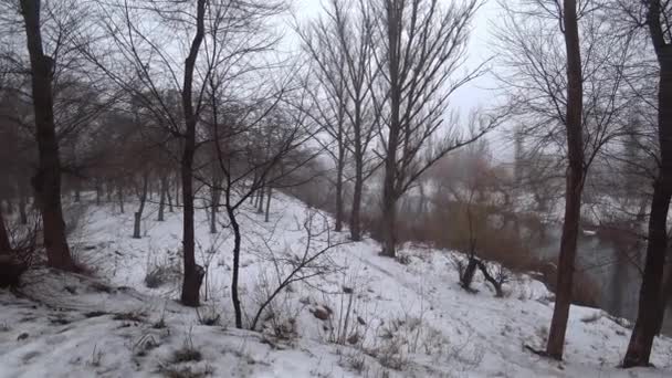 Ομίχλη Πάνω Από Τον Σημερινό Ποταμό Στο Πάρκο Χιόνι Ξεπάγωμα — Αρχείο Βίντεο
