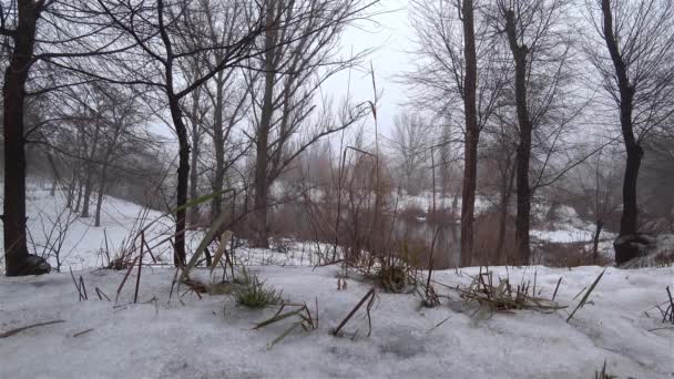 Ομίχλη Πάνω Από Τον Σημερινό Ποταμό Στο Πάρκο Χιόνι Ξεπάγωμα — Αρχείο Βίντεο