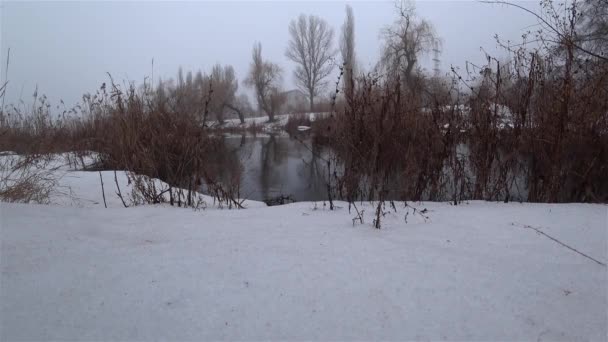 Nebbia Sul Fiume Corrente Nel Parco Neve Disgelo Primavera — Video Stock