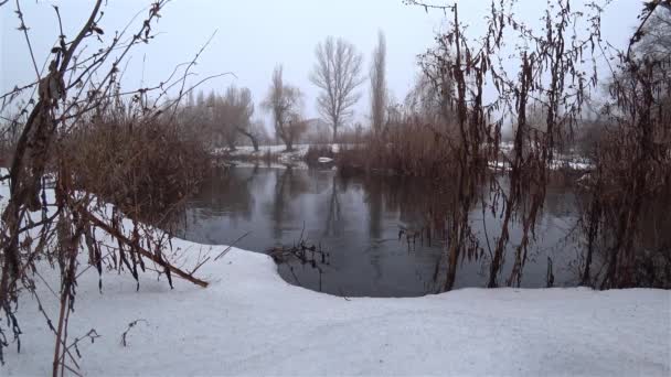 Park Snow Olvadás Tavasszal Jelenlegi Folyón Köd — Stock videók