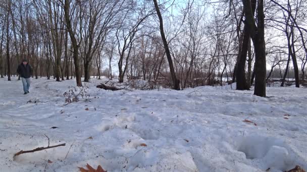 Muž Sobě Černou Bundu Modré Džíny Procházky Lesem Snow Zimní — Stock video