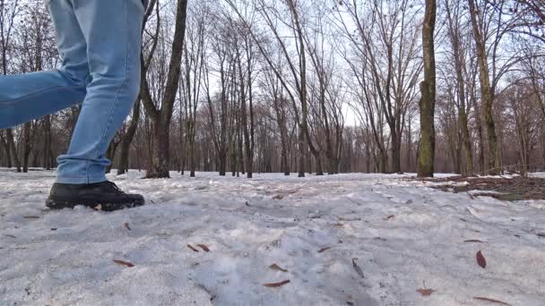 Člověk Chodí Parkem Zasněžené Zimní Den Mluví Mobilní Telefon — Stock video