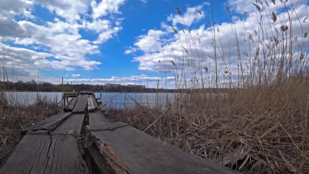 Träbro på en flod med vass på en blå molnig himmel bakgrund. — Stockvideo