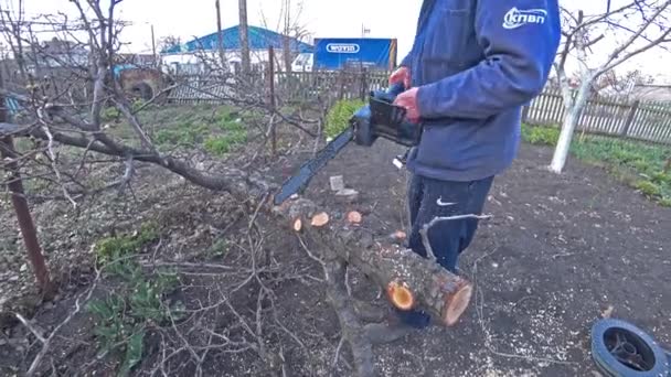 Stary człowiek cięcie drewno z Electric Piła na zewnątrz. — Wideo stockowe