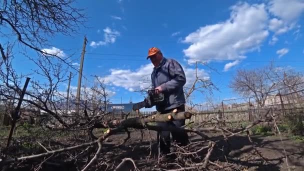 Old Man Cutting Wood With Electric Saw outdoors. — Stock Video