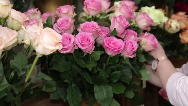 女花商在花店里为花束安排和挑选美丽的新鲜玫瑰 特写镜头 — 图库视频影像