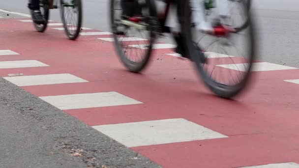 Banyak Pengendara Sepeda Mengendarai Sepeda Jalan Kota Konsep Gaya Hidup — Stok Video