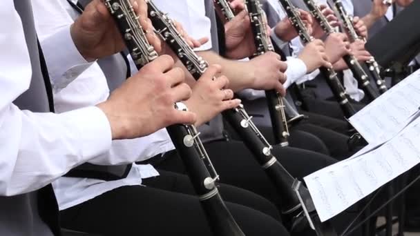 Άνδρες μουσικοί παίζουν κλαρίνα σε Δημοτική Ορχήστρα που εκτελεί σε εορταστική συναυλία ανοιχτό αέρα. — Αρχείο Βίντεο