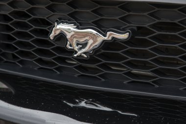 Bir araba radyatör Ford Mustang logosu.