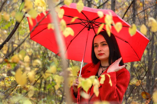 Жінка, одягнена в червоне пальто, гуляє в осінньому парку з червоною парасолькою . — стокове фото