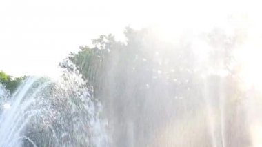 Şehir parkında yeşil bir ağaca karşı Su Çeşmesi'nin yakın çekim. Su Arka Planı.