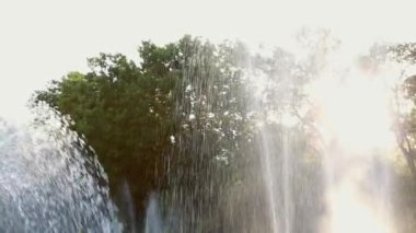 Şehir parkında yeşil bir ağaca karşı Su Çeşmesi'nin yakın çekim. Su Arka Planı.