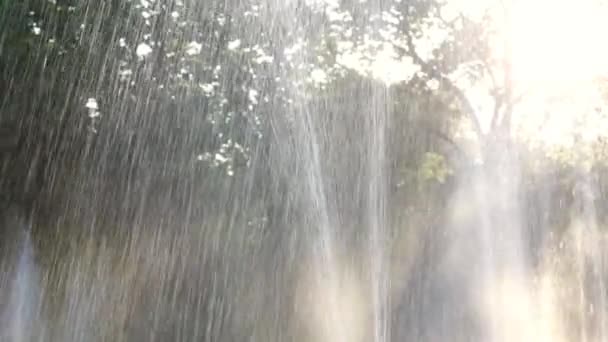 Närbild Vatten Fontän Mot Ett Grönt Träd Stadspark Vatten Bakgrund — Stockvideo