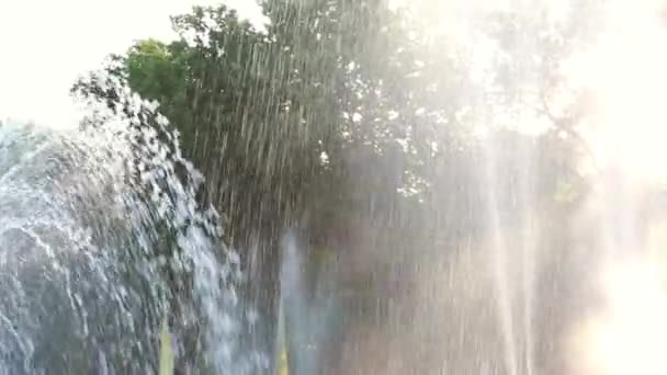 Nahaufnahme Einer Wasserfontäne Gegen Einen Grünen Baum Einem Stadtpark Wasserhintergrund — Stockvideo