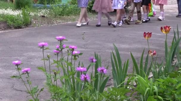 Bambini Età Anni Sbattere Una Fila Asilo Piedi Primo Piano — Video Stock