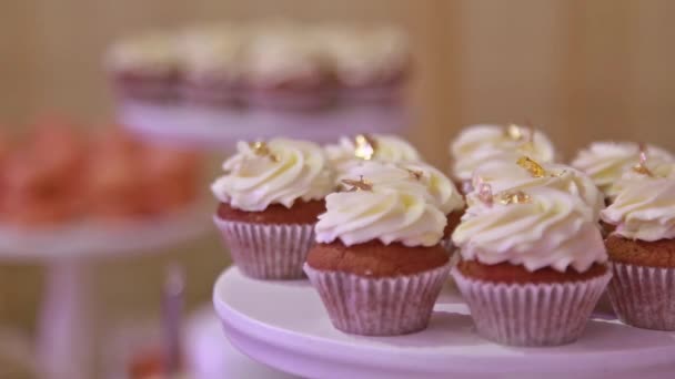 Mulher Garçonete Servindo Mesa Banquete Expõe Cuocakes Chiques Frescos Mãos — Vídeo de Stock