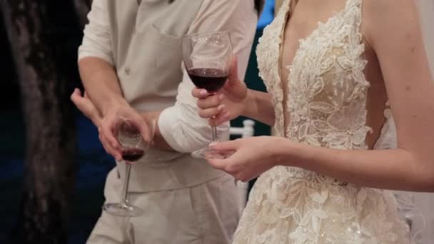 新娘和新郎在餐厅的婚宴上举着酒杯 手特写 — 图库视频影像