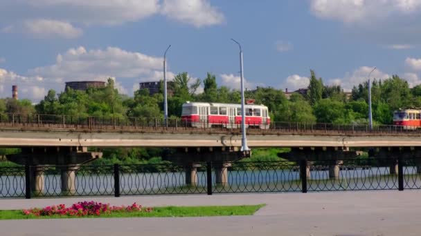 Два трамвая движутся по мосту через реку в городе на фоне зеленых деревьев . — стоковое видео