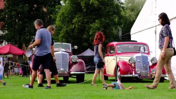 Yetişkin insanlar ve çocuklar güneşli bir yaz gününde retro motor fuarına hazırlanıyorlar.. — Stok video