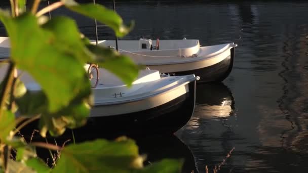 阳光明媚的日子 两只白色的塑料船在河里漂流 — 图库视频影像