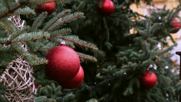 Nahaufnahme Einer Roten Kugel Auf Einem Geschmückten Natürlichen Neujahrsbaum Auf — Stockvideo