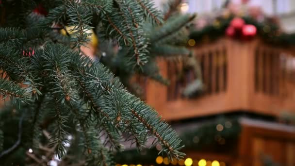 Árvore de Ano Novo Natural em uma feira de Natal festiva no fundo do edifício de madeira na rua da cidade . — Vídeo de Stock