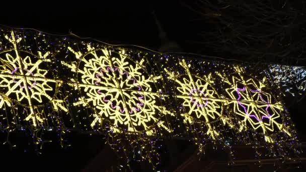 Lichtgevende LED slinger in de vorm van sneeuwvlokken. Kerstversiering op straat — Stockvideo