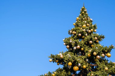 Mavi bir arka planda, büyük, sahte bir Noel ağacına bir sürü süs ve çelenk. Güneşli kış gününde. İnsan yok, kar yok. Boşluğu kopyala.