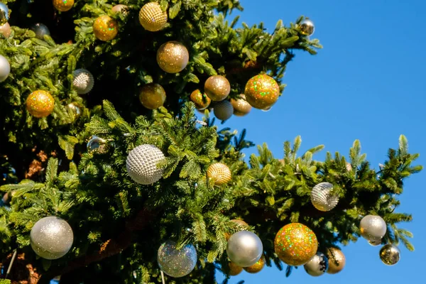 여름날 배경에 야외에 크리스마스 가지에 금빛과 흰색의 장식과 복장을 사람도 — 스톡 사진