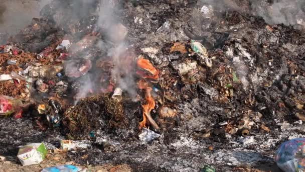 Quemando Basura Vertedero Ciudad — Vídeo de stock