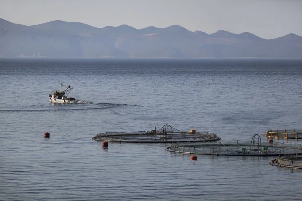 Hırvatistan Island Brac Balık Çiftliği Erken Sabah Yakınındaki Balıkçı Teknesi — Stok fotoğraf