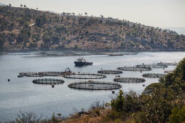 Balıkçı teknesi balık çiftliğinde Hırvatistan Island Brac erken sabah