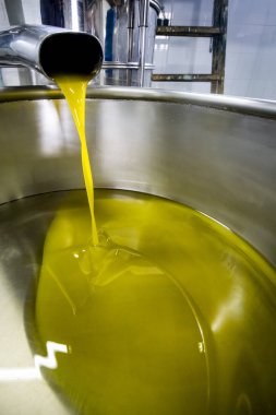 Ayrıntı zeytinyağı üretim hattı, son aşama, santrifüj çıkarma